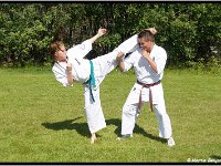 2011 06 24 3409-border